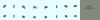 Filename=jtrk.png
Filesize=10KiB
Dimensions=640x128
Date added=Dec 10, 2008 jtrk.png